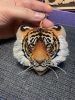 13.thumb.jpg.182621ad6d11ad23c7e32456bd42f9b8.jpg