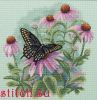 Dimensions 35249, Бабочка и ромашки (Butterfly and Daisies)
