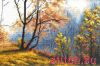 13514.thumb.jpg.b49ecc1b9c90fbd6c4f97b28d2ec40ad.jpg