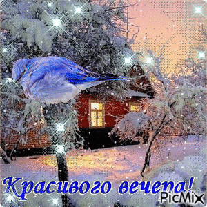1446371139_!.thumb.gif.26d3daf3aef1107d7cf3be3d3132e4f7.gif