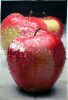 162518012_211-2.thumb.JPG.18bf69fa7877d2828e1d433e5bfd26e7.JPG