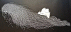 1826213771_1.thumb.gif.184e6a593759a1069c24ce2f1c6c6431.gif