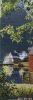 1882.thumb.jpg.5d08a3f33b49804caeb6bd4aa2b5277b.jpg