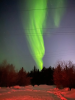 1D3A1A80-F42C-40E3-90FB-6286617178E9.thumb.png.0d86ff56e429d5b9a5f802238aff321f.png