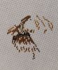 2.thumb.jpg.1a71a21ca4f955c3a7229f5f08787842.jpg