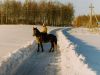 20210121_224409.thumb.jpg.cff181bb2dd642111af00c019c406ced.jpg
