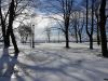 20210307_114643.thumb.jpg.630078327f696cfde0e86ef0d1cb2b66.jpg