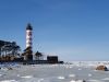 20210308_110332.thumb.jpg.b2f4a34716a0487ff6e4cbd1db81054b.jpg