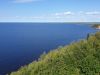20210727_151048.thumb.jpg.b1460391b9e34d87f945de9ab11ccad4.jpg
