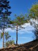 20210802_142422.thumb.jpg.c2163aaedcab6f98e6d84083e247c810.jpg