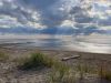 20210802_170922.thumb.jpg.b8b22da6ddedafccce274ebb519d140d.jpg