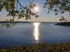 20210828_174923.thumb.jpg.9c2eee3dd731a16beda4020f99d3bf00.jpg