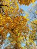 20211002_112423.thumb.jpg.92f4c513ee1189f4baf46c74f9305310.jpg