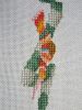 20211105_111205.thumb.jpg.20d7e542fab4e32b1145f58fda2141b1.jpg