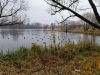 20211105_150928.thumb.jpg.1011a62e669d60fc9658d7c84687517c.jpg