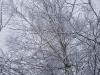 20211212_115505.thumb.jpg.d23eaf31c7123bd5b6674ed64ffd001e.jpg?1641799803328