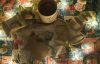 20211226_231817.thumb.jpg.a5adfbd001195d63e19b19957a558061.jpg