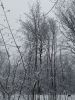 20220106_143736.thumb.jpg.8a0dd5861f20bc595ba7e65313ac8440.jpg