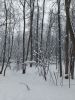 20220106_143754.thumb.jpg.7b927d1d4814b3dc7e0b283f567fcd59.jpg