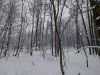 20220106_143810.thumb.jpg.67caa86c538ddde4c339d8bee2d4ce82.jpg