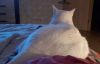 20220111_221112.thumb.jpg.768851ed147f2c51c8fbca9461e19f39.jpg