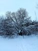 20220116_144117.thumb.jpg.7fcf8ad86b868d926935dfa06bbb5eff.jpg