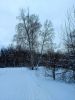 20220116_155956.thumb.jpg.22968aca4604c4ebe5cdc9783fa0738d.jpg