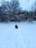 20220116_160105.thumb.jpg.327b2f9e1f40520a7e21c59dd6aa2f7f.jpg