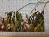 20220116_192520.thumb.jpg.c3349504e99bbfcafb5a05ea93a9ea56.jpg?1642684370142