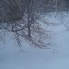 20220120_170723.thumb.jpg.a0a1ffa9d929e94ca68756f2ecd70c13.jpg