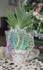 20220122_170931.thumb.jpg.39b56f167ade57b132dea5cbcf27cb96.jpg