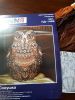 20220123_113110.thumb.jpg.fb9bb5117b2ca5a28a08b734943118a2.jpg