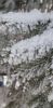 20220123_120119.thumb.jpg.0e0d1b47729a7434e6badbd22bb9450f.jpg