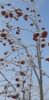 20220123_130900.thumb.jpg.0f634c4f3870cedbd744109b24d9e3f5.jpg