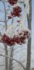 20220123_130926.thumb.jpg.7998f0ce83405b61e6e340d77f9a6b7a.jpg