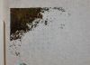 20220124_033418.thumb.jpg.010cbe767eab327b7c81bf280ce193c8.jpg