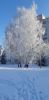 20220124_115345.thumb.jpg.31b71a7771891de35c679386608b74a1.jpg