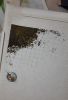 20220126_035345.thumb.jpg.1ecf1c3796ce8fa54d69833d919507a5.jpg