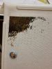 20220128_041746.thumb.jpg.52736ea4b749910eb81ecc41ffd2747d.jpg
