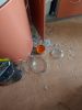 20220129_135014.thumb.jpg.7d9ee8fd0ceef76ada3b38f3be3d5fa1.jpg