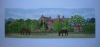 2041806662_.thumb.jpg.9c4769a489bb10b66050c652a485c082.jpg