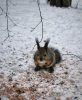 2F6D68B0-4B68-4A9D-8F0F-F8422C5936B8.thumb.png.147236148926a43f0ae5ee74c9441e86.png