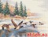 Алиса 3-27, Утки летят
