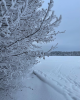 4D07C29E-45A3-43EC-98B7-57E87B7BD797.thumb.png.0065641151b104f17668bd6ee93df999.png