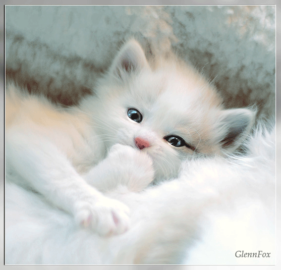 522104554____1.thumb.gif.5e46be68118190e190bd70512d35c2fb.gif