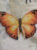 60047640-AB9B-4842-AB7D-3EABBA7C99F2.thumb.jpeg.95355eccb1d9026b0d7d5c82783a752b.jpeg