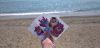 752781124_.jpg.cd5698434e5101d390093e34756fafb5.thumb.jpg.b8a04e28fece7579222f94f90770e7c1.jpg