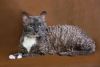 821b98c9c84406d3495c4671355ff191.thumb.jpg.1e4837bf3f7410028801aaebd8348322.jpg