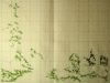 964300145_221-1.thumb.JPG.a1ed9fdae849aeb62f3c4cd989adbbe4.JPG