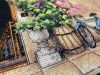 A3816501-BDFA-4EE3-8AD2-061EA222B6D3.thumb.jpeg.2f932cf5d3ef006d8f33e831bc9ff792.jpeg